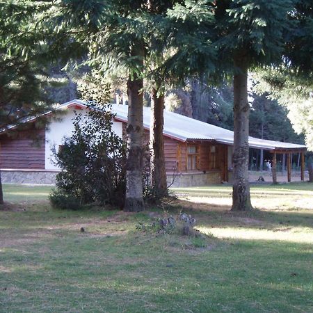 Posada Del Angel San Carlos de Bariloche Kültér fotó